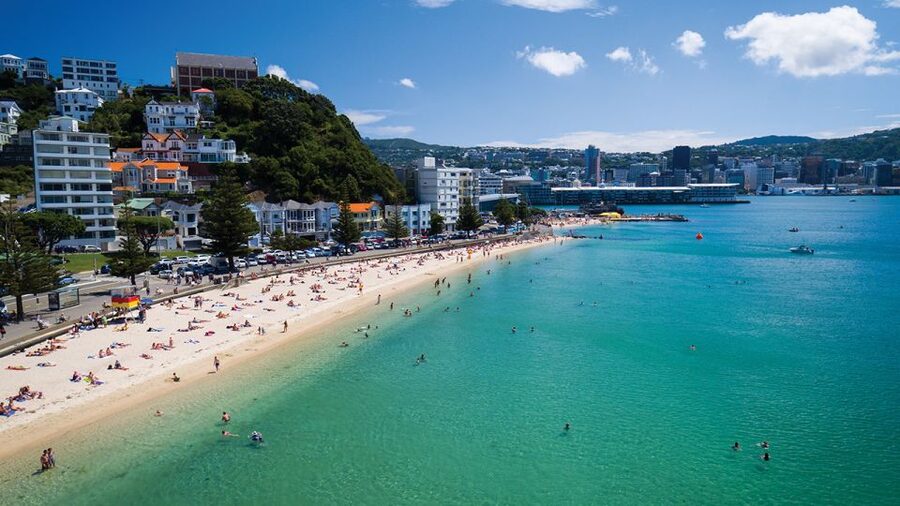 Wellington Helicopters Scenic Harbour Flight - Price and value at $178