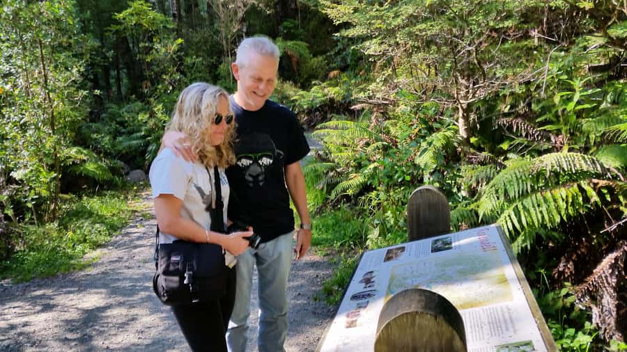 Wellington: Lord of the Rings Filming Locations Tour - Mount Victoria’s Hobbiton Woods