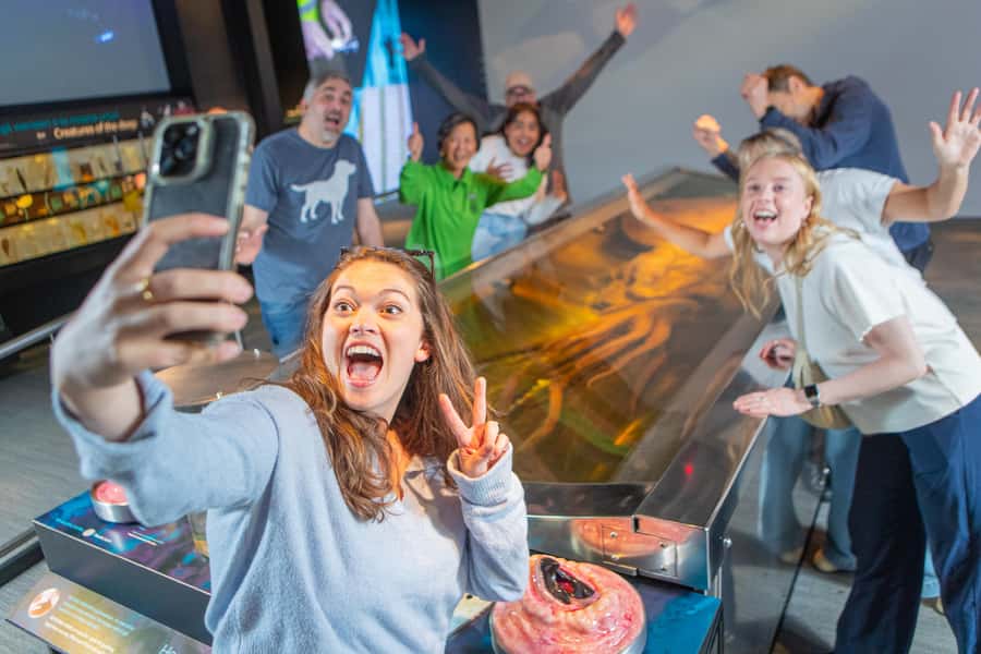 Wellington: Museum of NZ General Admission - National art without the pressure of a gallery visit