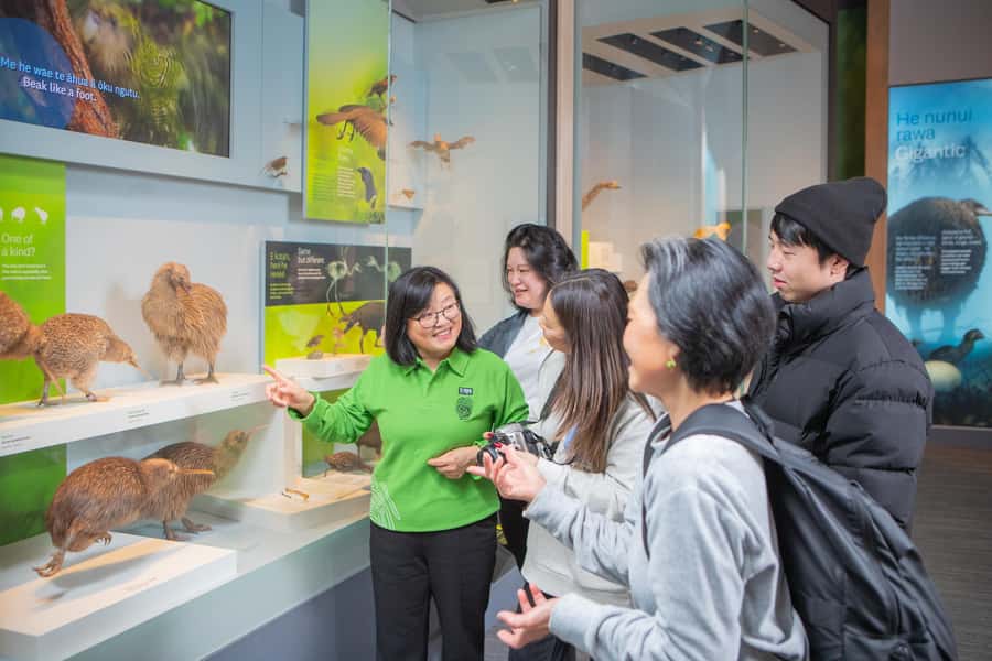 Wellington: Museum of NZ Guided Tour & General Admission - Key points to know before booking