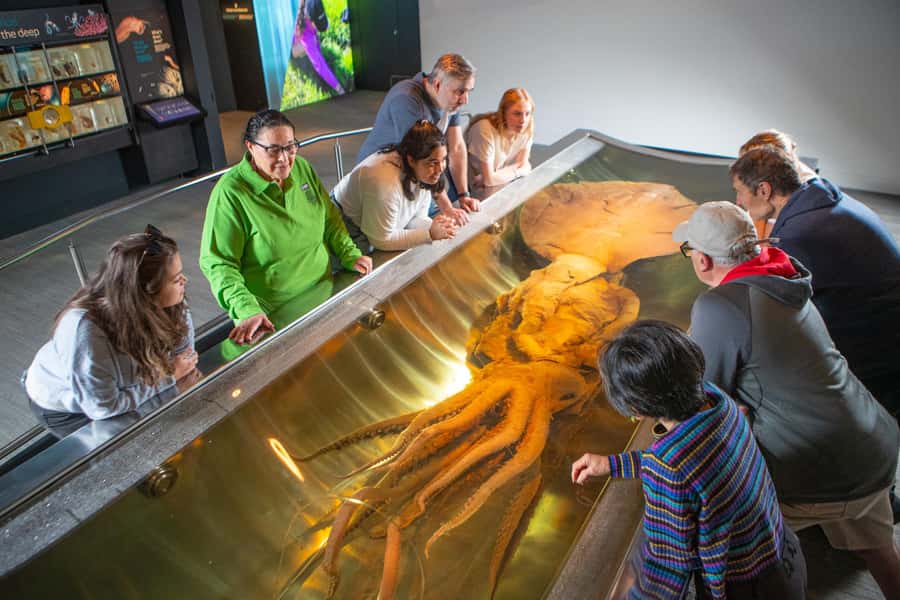 Wellington: Museum of NZ Guided Tour & General Admission - Practical timing and cancellation advice