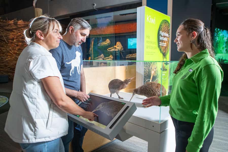 Wellington: Museum of NZ Guided Tour & General Admission - Meeting your guide at Te Papa