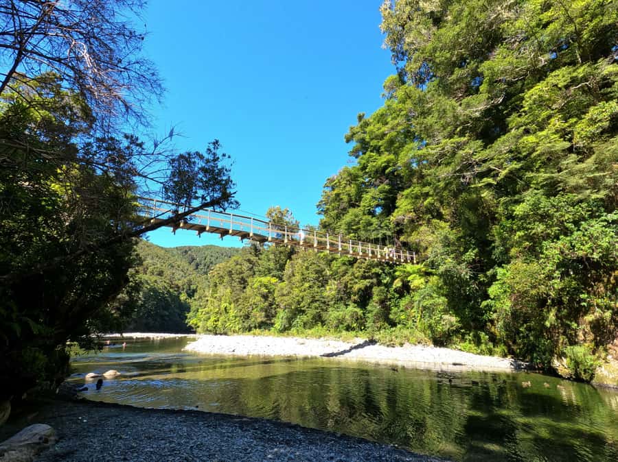Wellington: Original LOTR Full-Day Tour with Weta & Lunch - Timing, transport, and practical comfort