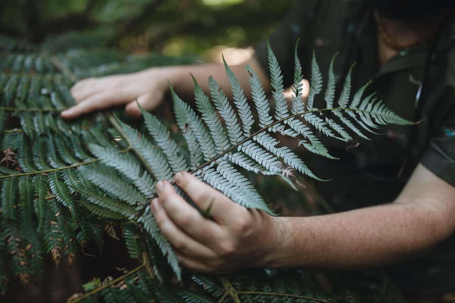 Wellington: Original LOTR Full-Day Tour with Weta & Lunch - Wētā Workshop explains the work behind Middle-earth