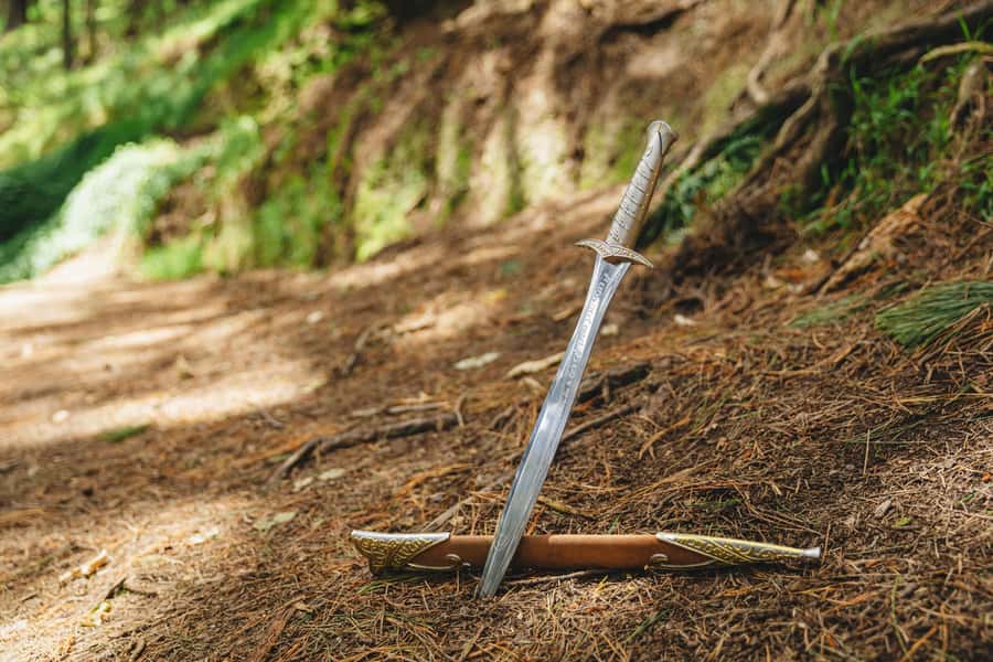 Wellington: Original LOTR Half-Day Experience with Weta - Walking in the Outer Shire