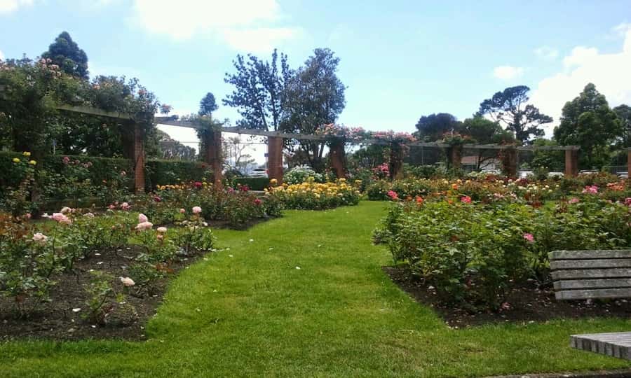 Wellington: Private Day Tour with Lunch - Key points at a glance