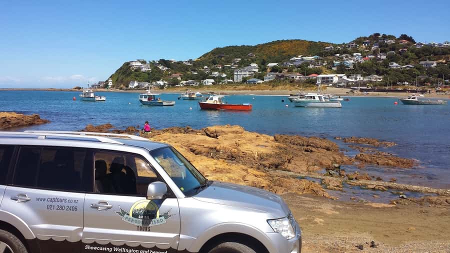 Wellington: Private Day Tour with Lunch - Why this private Wellington tour works well