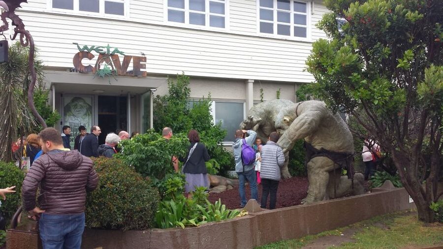 Wellington: Private Day Tour with Lunch - The Cable Car and Botanical Gardens slow the pace