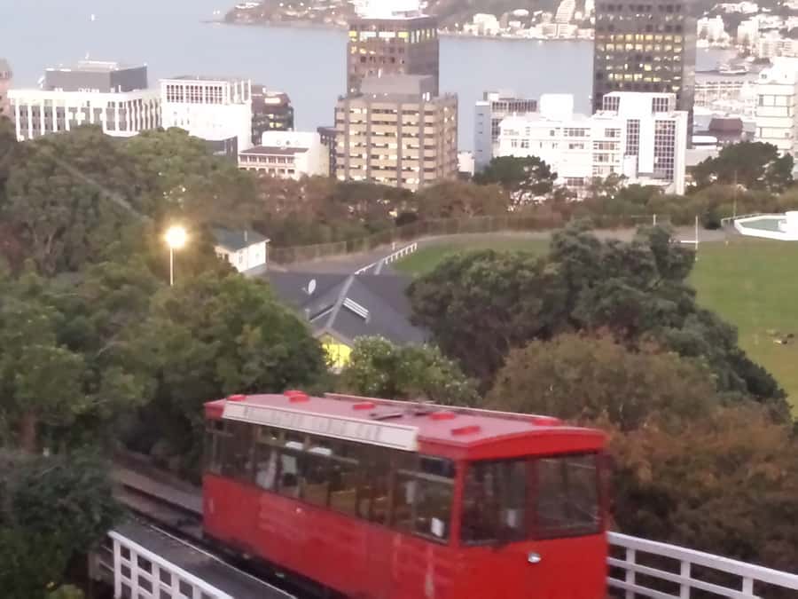 Wellington: Private Day Tour with Lunch - Wright Hill ends the day above greater Wellington