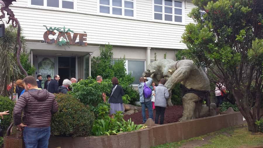 Wellington: Private Day Tour with Lunch - Mt Victoria gives you the right first view