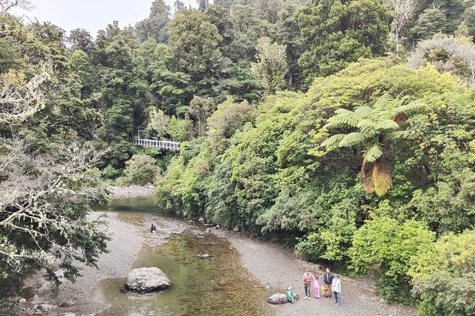 Wellington Region Full Day Private Tour: Get out of the City - Returning through Wellington’s northern neighborhoods