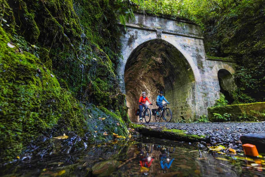 Wellington: Remutaka Rail Trail Cycle Tour - Key points to know before you book