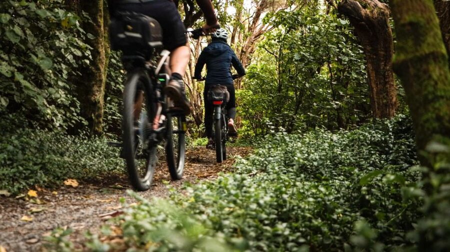 Wellington: Remutaka Rail Trail Cycle Tour - Guide support and the bike setup