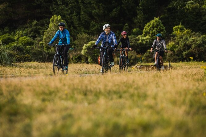 Wellington Remutaka Rail Trail eBike Cycle Tour - The descent to Cross Creek and Featherston