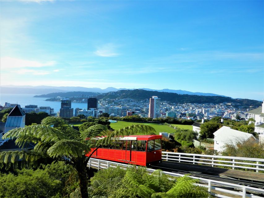 Wellington: Return Cable Car Ticket - Walking through the Botanic Garden