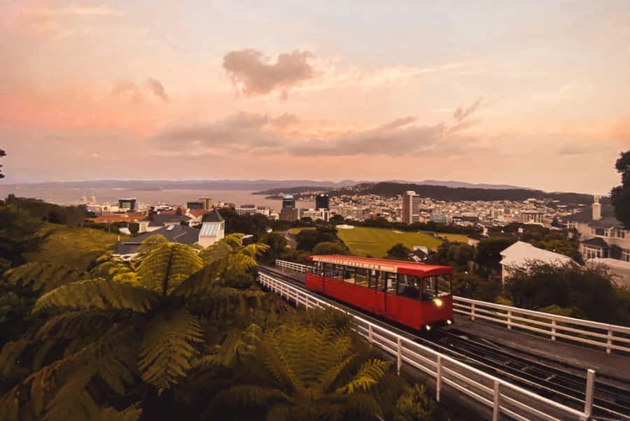 Wellington: Return Cable Car Ticket - Who should book the Wellington Cable Car?