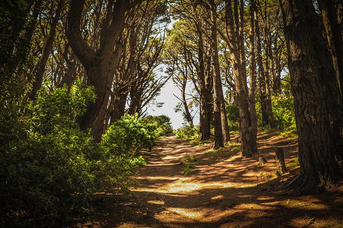 Wellington's Original HD LOTR Experience - includes Weta Tour - Timing, pickup, and practical details