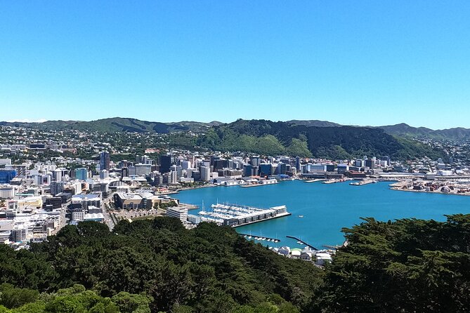 Wellington's Original LOTR Experience - includes Weta and Lunch - Why this Wellington tour works so well