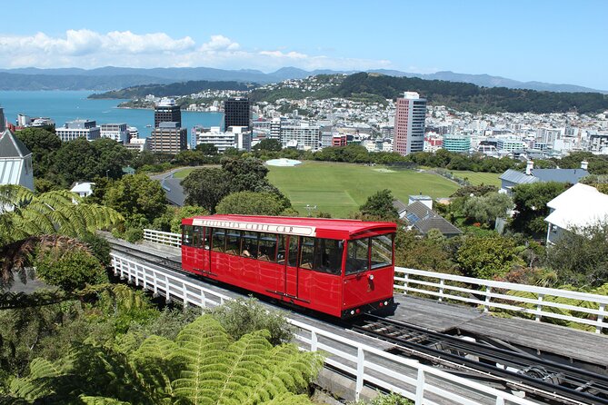 Wellington Scenic Full Day Tour - Key points at a glance