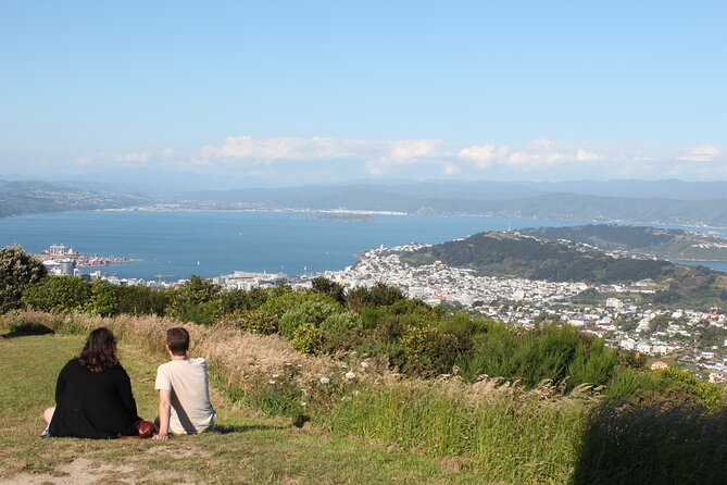 Wellington Scenic Full Day Tour - Mount Victoria supplies the big Wellington view
