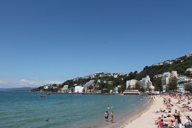 Wellington Scenic Full Day Tour - Weta Cave is a taste of Wellington’s film world