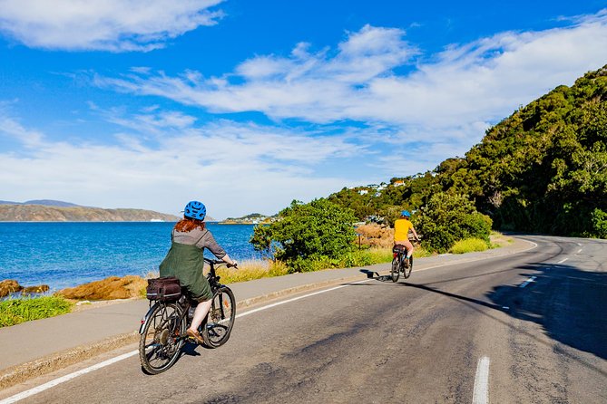 Wellington Self-Guided Electric Bike Tour - Weta Cave adds film history, but costs extra