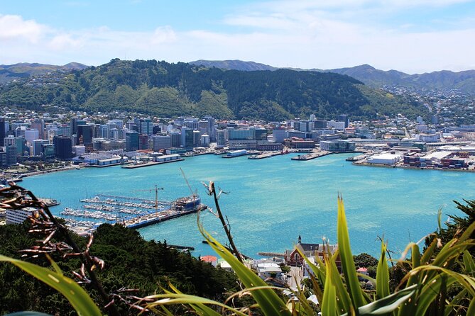 Wellington Shore Excursion City Sightseeing Tour - Does the $96.19 price make sense?