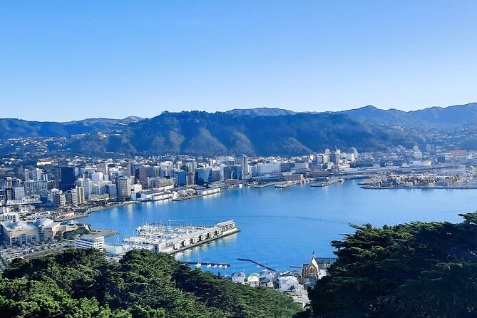 Wellington Shore Excursion: From Cave to Coast Highlights Private Tour - Why this five-hour tour works for cruise passengers