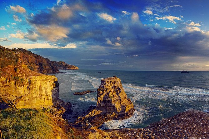 West Coast Discovery - Piha Beach or Muriwai Beach from Auckland - Rainforest walks and Maori context