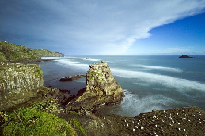 West Coast Discovery - Piha Beach or Muriwai Beach from Auckland - Weather, timing, and what to bring