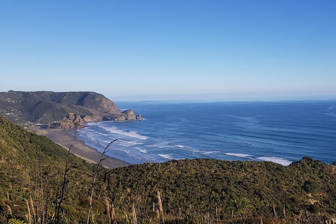 West Coast Discovery - Piha Beach or Muriwai Beach from Auckland - Muriwai’s gannets above the black-sand shore