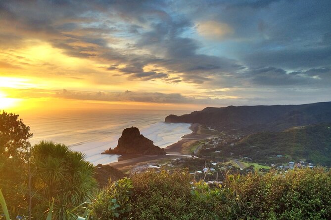 West Coast Discovery Piha Beach Private Tour - A private vehicle changes the feel of six hours