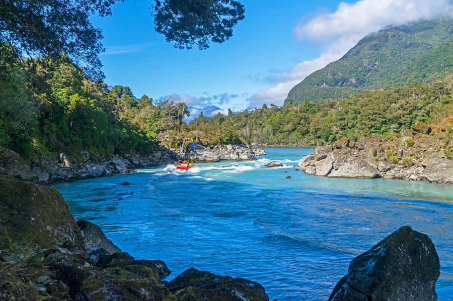 West Coast: Eco River Safari in UNESCO World Heritage Area - Key points to know before you book