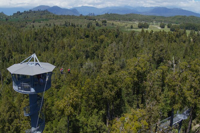 West Coast Tower Zipline & Treetop Walk Combo - What the Rimu setting adds