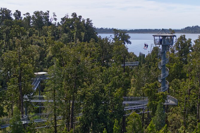 West Coast Tower Zipline & Treetop Walk Combo - Why the private format matters