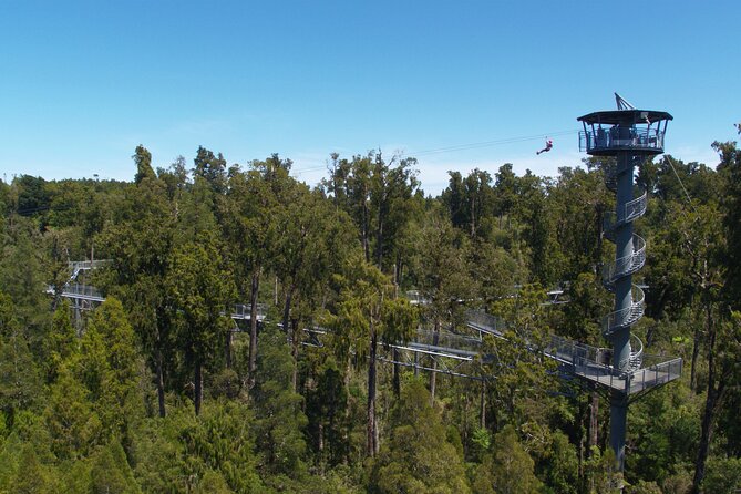 West Coast Tower Zipline & Treetop Walk Combo - The café stop after the flight