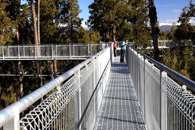 West Coast Tower Zipline & Treetop Walk Combo - The tandem flight 45 meters above the ground
