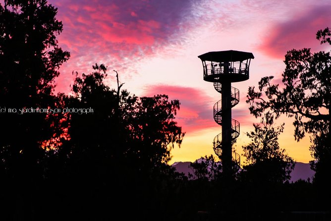 West Coast Treetop Walk - What you learn along the 450-meter route
