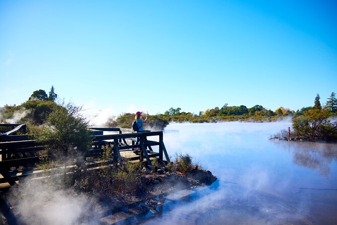 Whaka Geothermal Trails Self-Guided Tour - Why the native forest matters