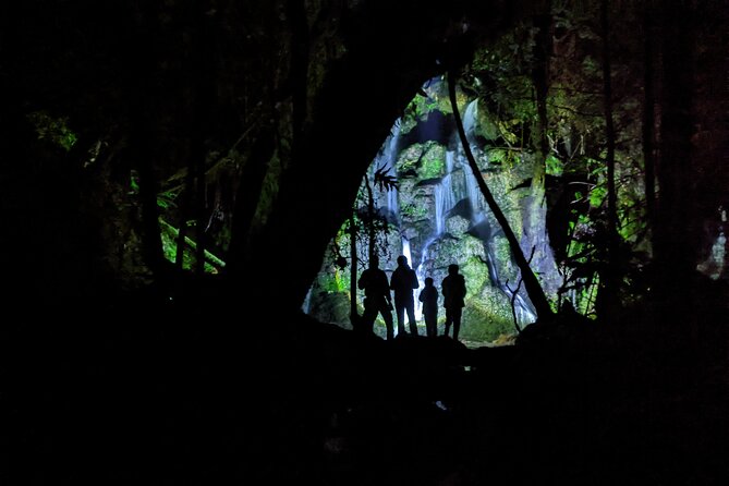 Whaka Trails and Maori Village Combo Tour - Who will enjoy this most?