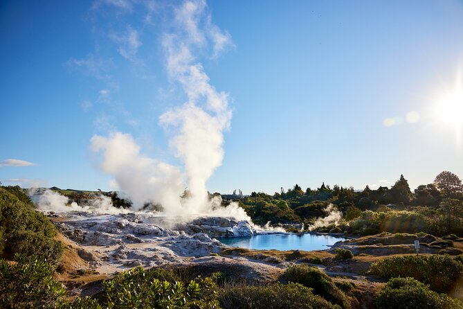 Whaka Trails and Maori Village Combo Tour - The guided walk through Whakarewarewa