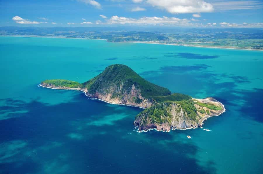 Whakaari - White Island Cultural and Flight Experience - Key points to know before you fly
