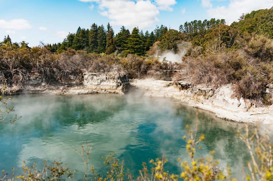 Whakarewarewa: Self-Guided Geothermal Trails - Starting at the Geyser Café and admissions office