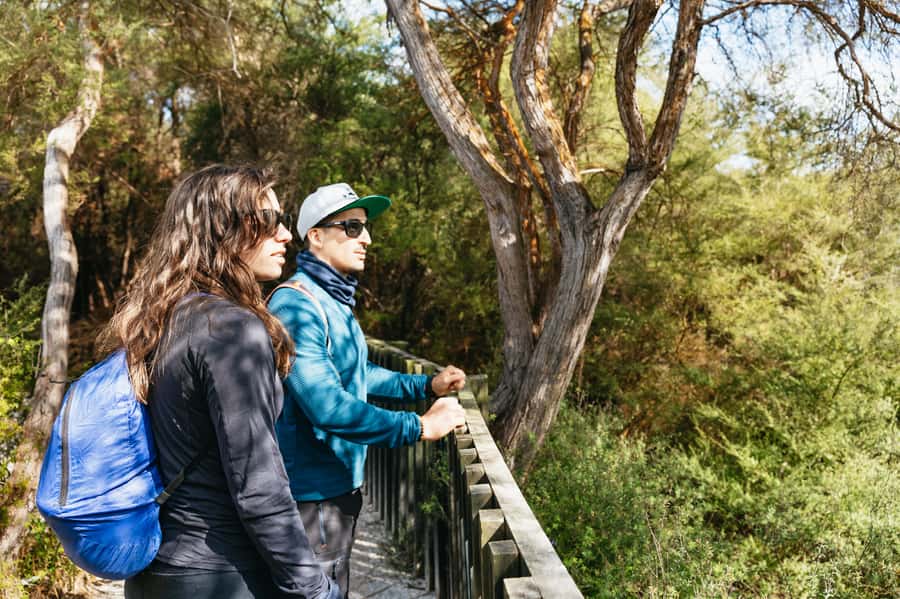 Whakarewarewa: Self-Guided Geothermal Trails - A one-hour walk through steaming ground