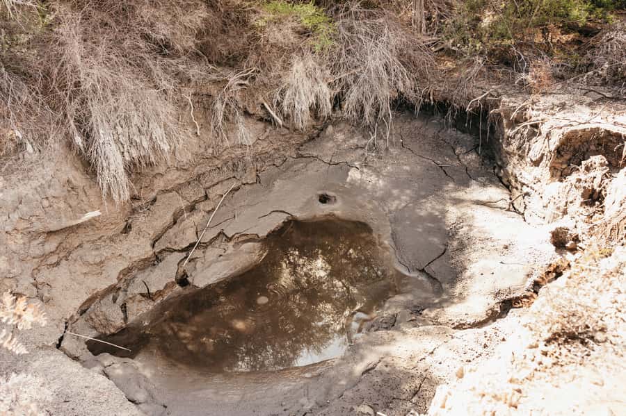 Whakarewarewa: Self-Guided Geothermal Trails - Viewpoints toward the village and geysers