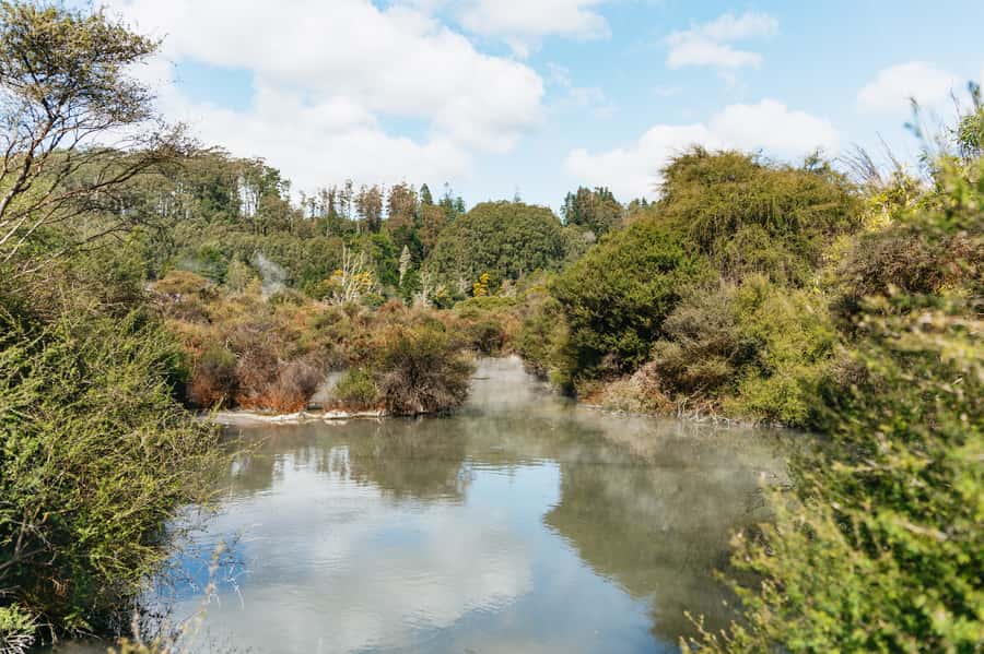Whakarewarewa: Self-Guided Geothermal Trails - What $23 buys you