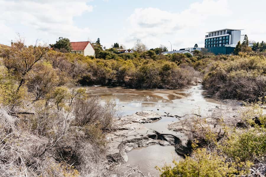 Whakarewarewa: Self-Guided Geothermal Trails - Practical timing and what to bring