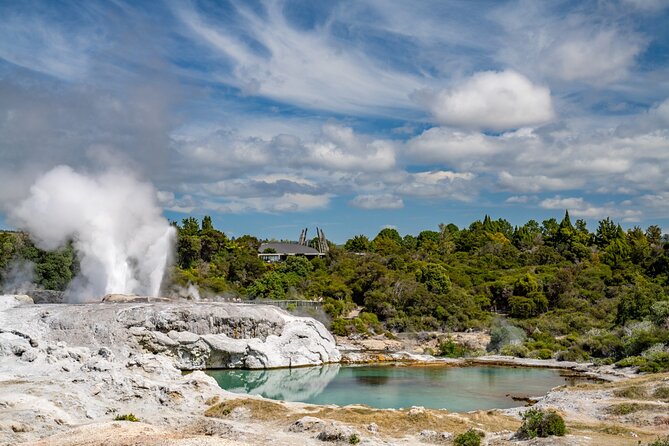 Whakarewarewa Village Guided Tour - What the one-hour walk includes