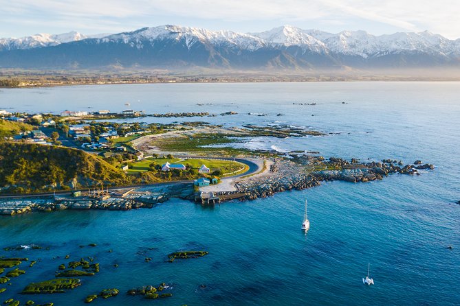 Whale Watching in Kaikoura by Boat - Is the $111.39 price good value?