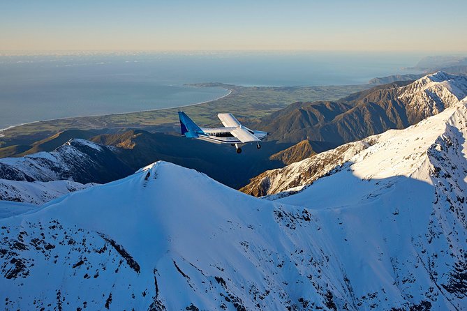 Whale Watching in Kaikoura - Ultimate Experience - Key points to know before you fly